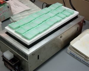 cooling histology tissue samples