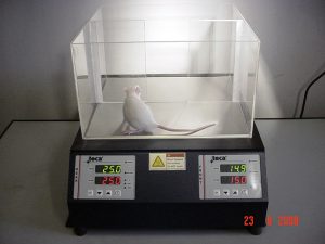 animal behavior research